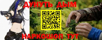 мяу мяу мука Будённовск