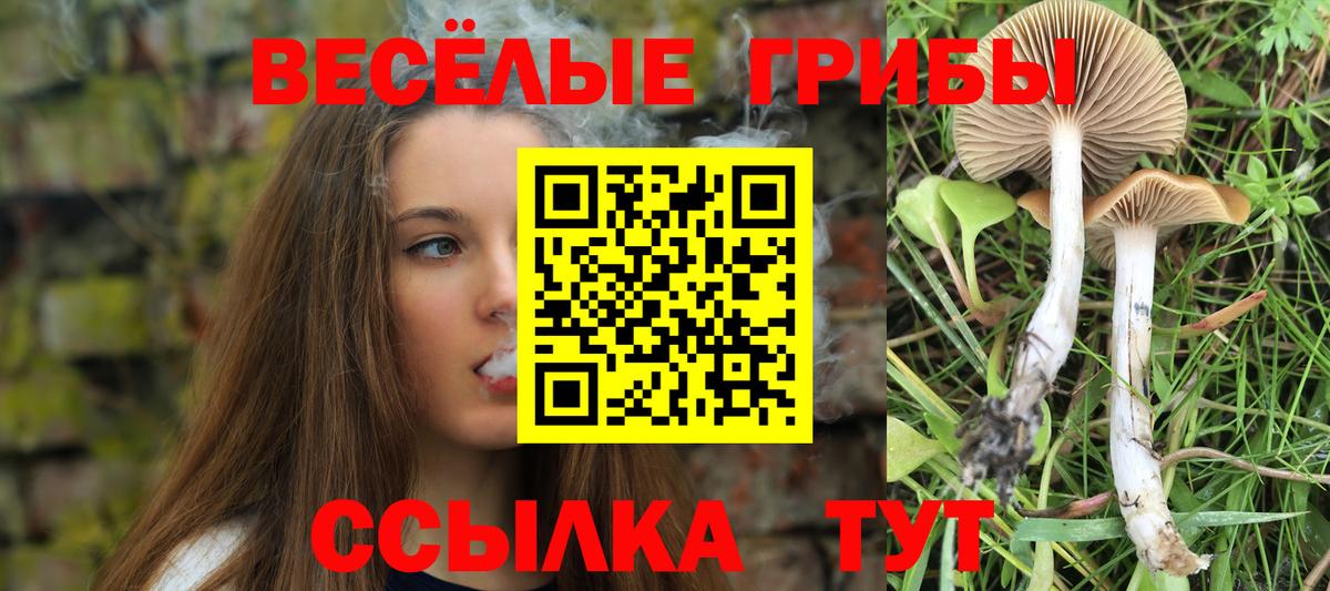 Псилоцибиновые грибы ЛСД Красногорск