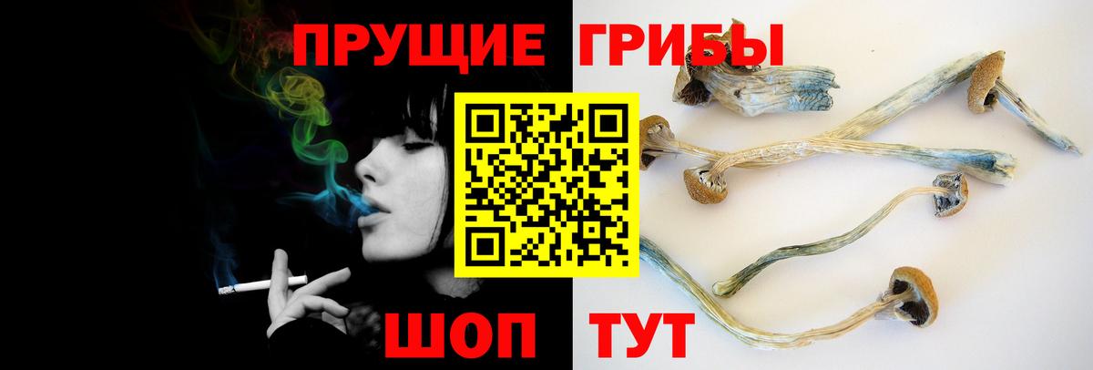 Галлюциногенные грибы Magic Shrooms  Вход с VPN  Красногорск 